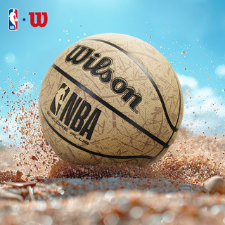 Wilson威尔胜NBA联名吸湿防尘耐磨室内外通用比赛7号标准篮球 【黑色吸湿】WZ2017602CN7 七号篮球(标准球)