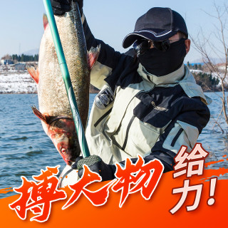 手杆鱼竿北沧碳素钓鱼竿手杆超轻超硬19调8H大物杆台钓竿