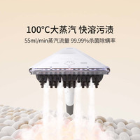 友望 UWANT布艺清洗机 免拆洗地毯床垫沙发清洁招财猫BY2305