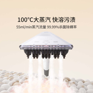 友望 UWANT布艺清洗机 免拆洗地毯床垫沙发清洁招财猫BY2305