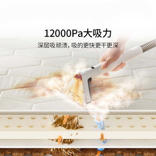 友望 UWANT布艺清洗机 免拆洗地毯床垫沙发清洁招财猫BY2305