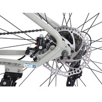 凤凰(Phoenix) 自行车成人男女山地车变速公路单车双碟刹越野山地自行车 传奇浅灰色辐条轮(钢架线刹) 24英寸适合140cm-170cm 24速