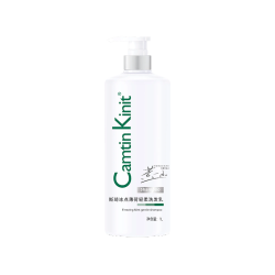 蔻斯琦 Agovski 斯琦冰点洗发薄荷轻柔洗发乳 1L