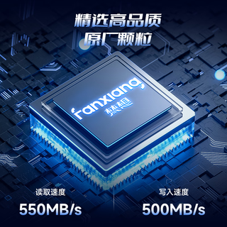  FANXIANG/梵想 高速传输 固态U盘  1TB