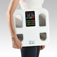 彩屏体脂秤数据直显减肥人体秤家用称 白色