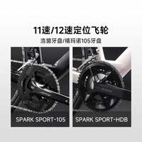 PARDUS/瑞豹 碳纤维气动破风 碳纤维公路自行车 禧玛诺105R7120 油压碟刹 碳纤维车把