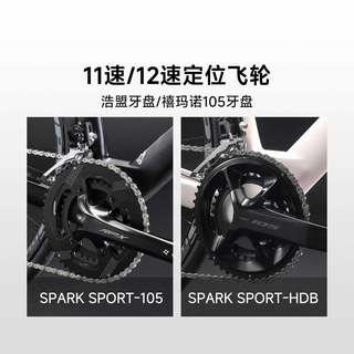  PARDUS/瑞豹 碳纤维气动破风 碳纤维公路自行车 禧玛诺105R7120 油压碟刹 碳纤维车把