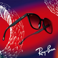 Ray-Ban 墨镜 新年款0RB4423D