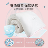 安睡宝（SOMERELLE） 冬被子A类大豆抗菌纤维春秋被单人双人棉被冬被芯 小仙被【大豆抗菌款】 220X240-加厚冬被