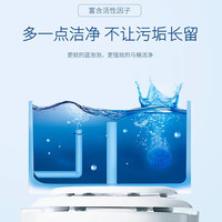 妃忻净洁厕块洁厕剂除臭去黄去渍去垢洁厕灵剂厕所马桶蓝泡泡清洁剂 洁厕块30块