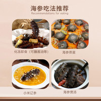 大连即食海参辽参刺参开袋即食 500g