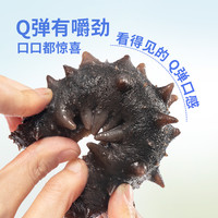 大连即食海参辽参刺参开袋即食 500g