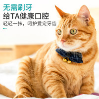 汉维宠仕宠齿健dentisept犬猫口腔护理膏猫咪狗狗清新口气