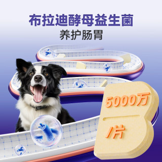 MAG 狗狗天然维生素片150g/瓶 宠物复合维生素b片改善幼犬异食癖