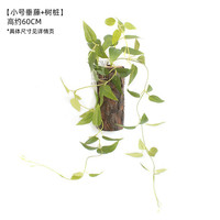 阿楹 家饰 创意北欧春季艺术花相框 小号垂藤+树桩