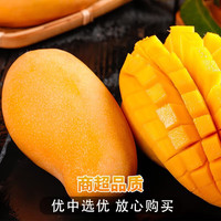 迎畔广西金煌芒芒果 当季现摘青皮水仙大芒果新鲜水果 净重4.5-5斤实惠装 精选中果 单果250g+