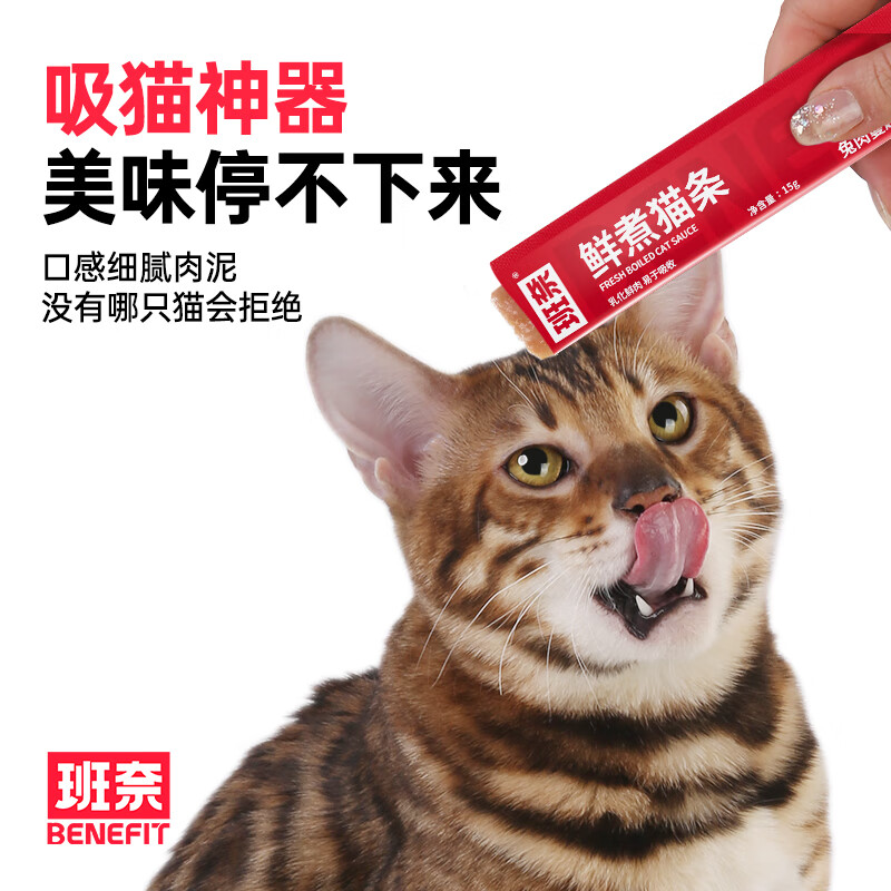 班奈班奈猫条零食鲜煮猫条桶100支成幼猫通用防掉毛猫咪零食罐头湿粮 15g*100包