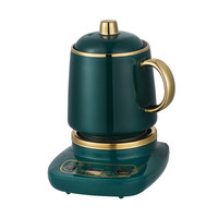 煮茶器多功能办公室小型电茶炉全玻璃花茶养生壶mini小茶炉煮茶壶