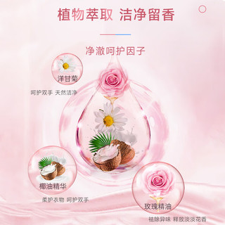 船牌内衣洗衣液240ml*2瓶女洗内裤液内裤清洗液抑菌去血渍洗衣液 内衣洗衣液240ml*2瓶