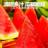 姬幻麒麟西瓜新鲜水果当季斤麒麟小西瓜薄皮整箱超甜 当季麒麟西瓜 净重 5-6斤 （1个装）