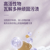 蓝漂薰衣草香氛洗衣粉 强力去污深层洁净清洁衣物机洗手洗净白去渍 2kg*1袋 【带嘴-方便使用】
