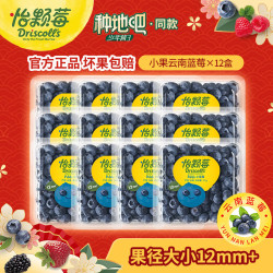 怡颗莓 降价清库存！国产 新鲜蓝莓 125g*12盒