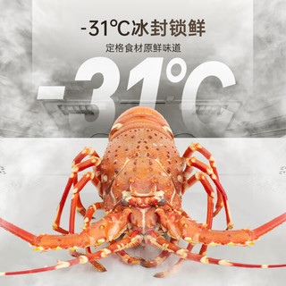 Ronshen 容声 方糖系列 BCD-515P60FZNAD 风冷法式多门冰箱