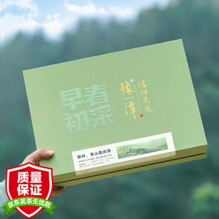五云村 信阳毛尖 明前特级嫩芽 100g 礼盒装 绿茶