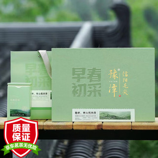 五云村 信阳毛尖 明前特级嫩芽 100g 礼盒装 绿茶