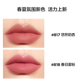  Perfect Diary/完美日记 丝绒哑光 女士口红  817悠然奶杏 2.8g