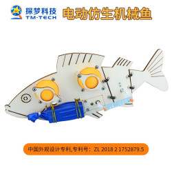 探梦 科学实验小手工 电动仿生机械鱼