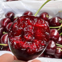 鲜级佳 车厘子美早大樱桃【多地次日达】大连国产樱桃新鲜水果 5斤(净重) 精美礼盒装 5JJJJJ果王34mm+【升级款】 4.8斤(净重) 精美礼盒装
