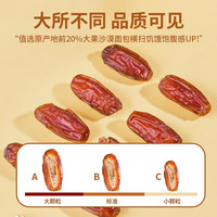 疆味希 饱腹代餐 新疆椰枣