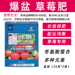 深邦 DEEPBANG ZCP 树脂花盆 大 草莓专用肥