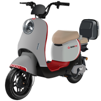 宝岛【官方直营】电动车新国标电动自行车成人男女双人锂电亲子代步俩轮电瓶车 能量灰/NFC手机互联/旗舰品质 1.0需要自配电池+充电器+无赠品