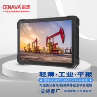 辰想 CENAVA A18ST 10英寸全加固三防平板电脑工业pad带GPS北斗A18ST（12G+256G+USB)高配 三防版本
