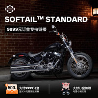 HARLEY-DAVIDSON 哈雷戴维森 Softail Standard