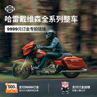 HARLEY-DAVIDSON 哈雷戴维森 全系整车订金 新车9999元