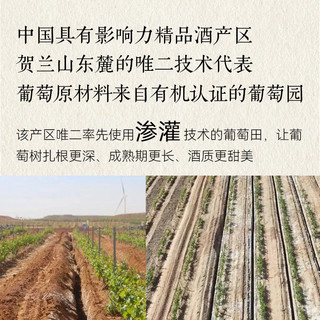 广寒记蛇年款但愿人长酒软浓红葡萄酒走亲访友宴请礼盒装