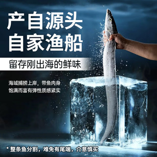 龙味福舟山东海带鱼段 大号三去带鱼新鲜冷冻深海小眼带鱼特级刀鱼