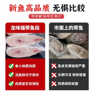 龙味福舟山东海带鱼段 大号三去带鱼新鲜冷冻深海小眼带鱼特级刀鱼