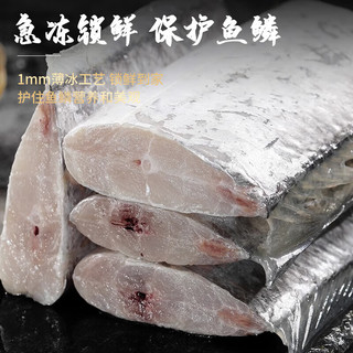 龙味福舟山东海带鱼段 大号三去带鱼新鲜冷冻深海小眼带鱼特级刀鱼