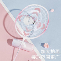 安踏(ANTA)羽毛球拍对拍入门款套装超轻耐打训练比赛成人学生双拍613-1