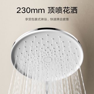 小米 Xiaomi米家控温淋浴花洒C
