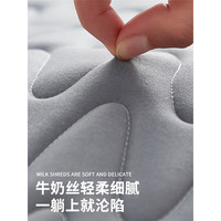 南极人椰棕床垫子1.5x2米乳胶垫席梦思加厚海绵垫可折叠夏季地铺睡垫被 【厚度约6cm】 双人床:1.5x2.0米