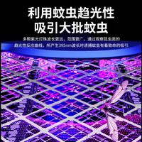 XILGARI新电蚊拍充电式家用二合一折叠式灭蚊灯自动诱蚊电苍蝇拍