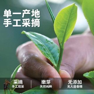 迪尔玛（Dilmah）斯里兰卡果味红茶40g独立锡纸包 袋泡茶临期特惠 5种口味红茶40g