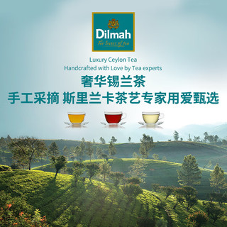 迪尔玛（Dilmah）斯里兰卡果味红茶40g独立锡纸包 袋泡茶临期特惠 5种口味红茶40g