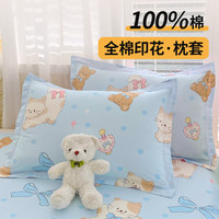 全棉100%棉印花枕套一对装纯棉枕套家用单双人床上用品枕头套