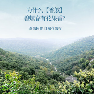 卢正浩碧螺春明前  2025新茶绿茶茶叶江苏苏州核心产区 150g*1包